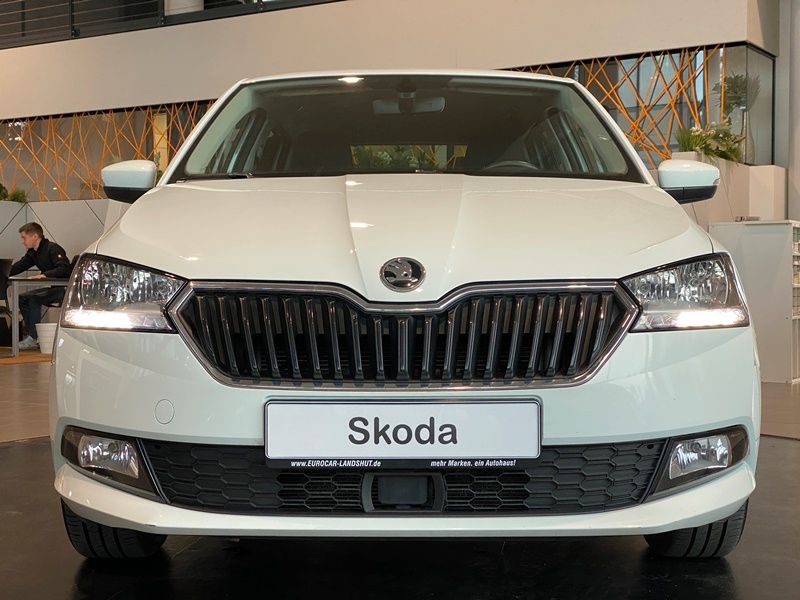 Skoda Fabia 1.0 TSI Ambition Navi Comfort-P. Shzg ACC